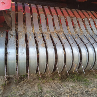 balikovac lis na seno slamu - 6