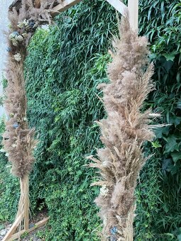 Svadobný oblúk - 6