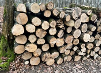PREDÁM PALIVOVÉ DREVO 🪵🪵🪵 - 6
