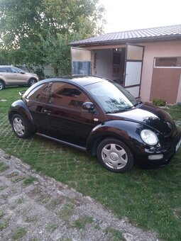New Beetle - 6