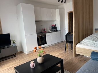 Apartmán v pavčinej lehote -Demänovská dolina-Jasná - 6