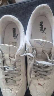 Botasky Puma - 6