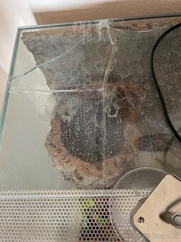 Terarium pre chameleona - 6