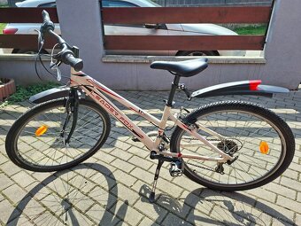 Dámsky bicykel - 6