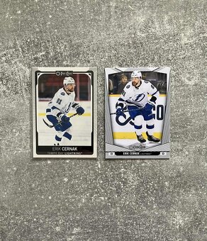 Hokejové kartičky Slováci v NHL - 6