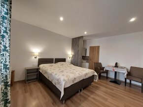 Nesvady: Investičná príležitosť. Znížená cena - 6