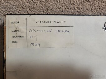 Vladimír Plachý - 6