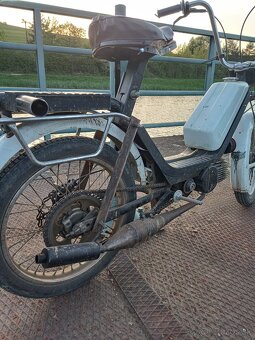 Babetta - 6