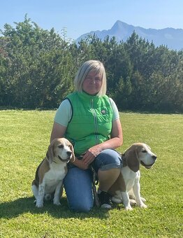 Bigel, bigl, beagle s PP - 6