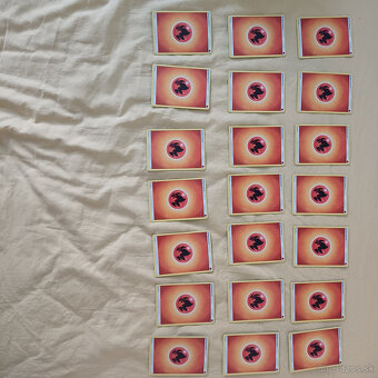 Pokemon karticky - 6