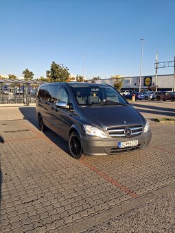 Vito - 6