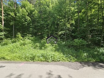 Záhrada vo Zvolene - 6