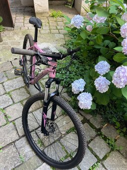 Bicykel Specialized - 6