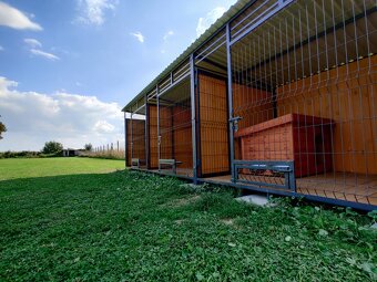 Predám svoje „dieťa“ – psí hotel Pes na dovolenke + dom, 30 - 6