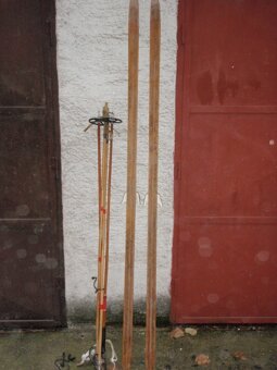 Fínske bežky Hickory-200cm - 6