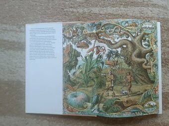 Robinson Crusoe - 6