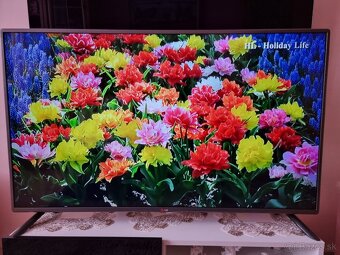 Predám LED TV LG 43LK5100PLA Full HD - 6