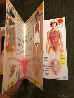 Tintin, Táborenie a iné - 6