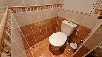 GARZÓNKA BREZOVÁ POD BRADLOM, 34M2 - 6