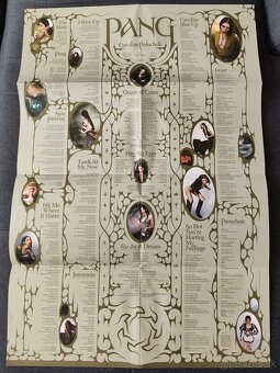 Caroline polachek - Pang (Vinyl, LP, Platňa) - 6