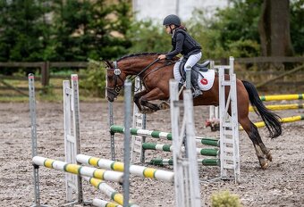 Náš Princ hledá svoji princeznu - 6