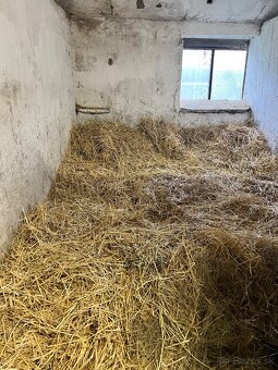 Ponúkame ustajnenie - 6