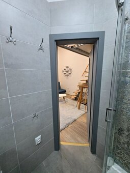 1 izbový Mäsiarska 57- Rental - 1 room Masiarska - 6