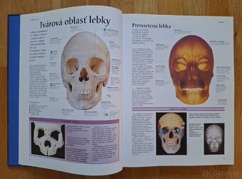 Ludske telo - atlas anatomie cloveka - 6
