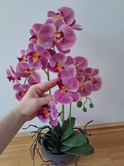 umelá orchidea v kvetináči, výška 75cm - 6