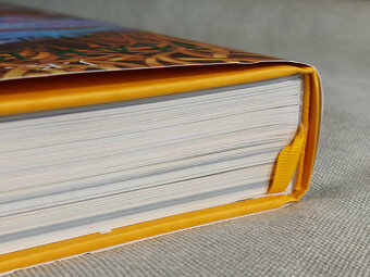 Harry Potter and the Order of the Phoenix - Illustrated Ed. - 6