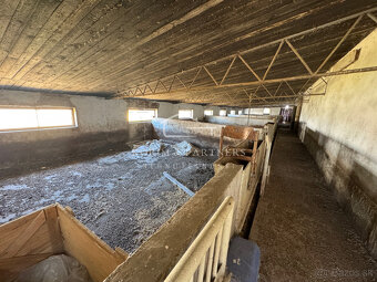 NOVINKA - Rodinná farma na vyše 2,5 hektároch pri Komárne - 6