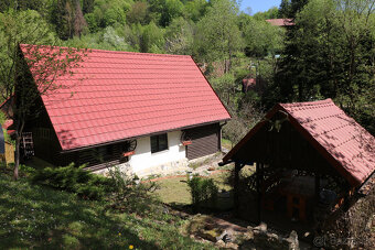PREDAJ DREVENICE VEĽKÉ ROVNÉ - 6