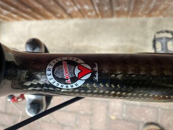 Arrow RC spyce Carbon fully - 6
