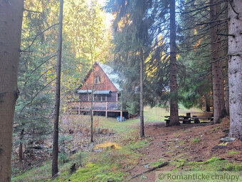 Chata v Studenej doline na vlastnom pozemku s vodou a elek - 6