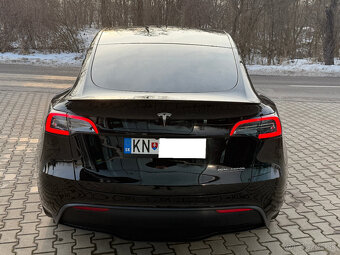 Tesla Model Y DUAL MOTOR 4x4 PERFORMANCE - 6