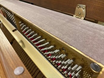 PETROF - WEINBACH - 6