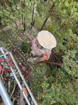 Arboristika, záhradnícke práce - 6