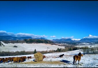 POZEMOK- Výhľad na Tatry - 6