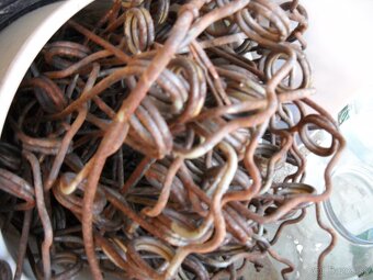 E 512-514 vodní pumpa - 6