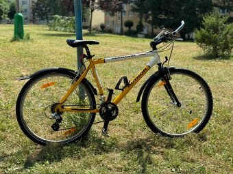 Bicykel AUTHOR - 6