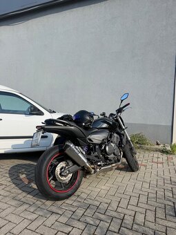 Honda Hornet 600 PC41 - 6
