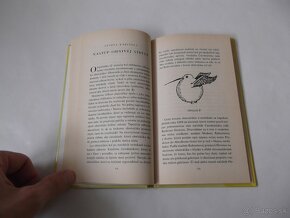 Kennilworthy Whisp-Metlobal v priebehu vekov - 6