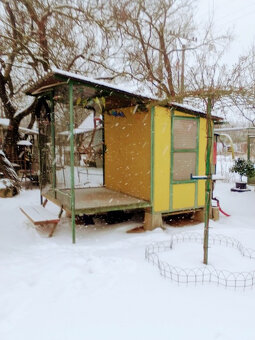 Andulky z vonkajšej voliéry - 6