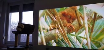Optoma HD36 DLP 3D -3000ANSI, FullHD, 30 000:1, 92hod, 144Hz - 6