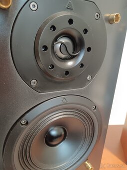 Triangle Aliote 202 repro surround - 6