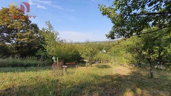 AD REALITY - VINICA - Trnava pri Laborci - 6