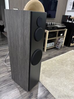 Sb acoustics satori - 6