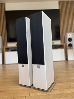 Dali Zensor 5 - 6