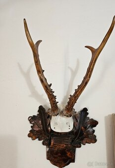 Parožie - 6