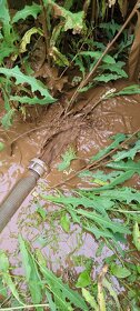 Studne-čistenie dezinfekcia prehlbovanie - 6